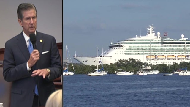 Florida lawmaker steps in to halt controversial Manatee cruise terminal