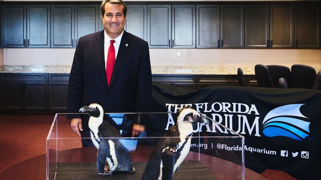 Penguins return to State Capitol to highlight storm protection and coral funding