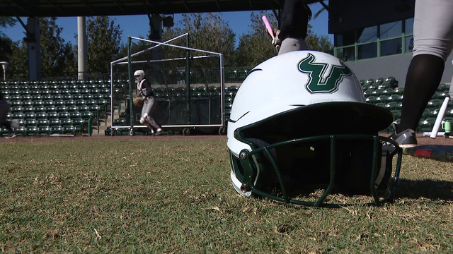 USF softball has high expectations heading into 2026 campaign