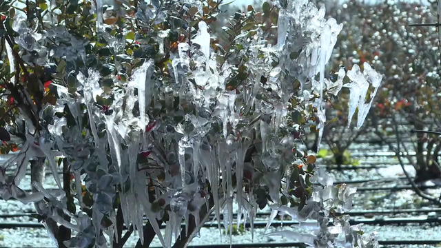 Hillsborough farmers’ crop freeze protection causing dry wells but levels are expected to rebound