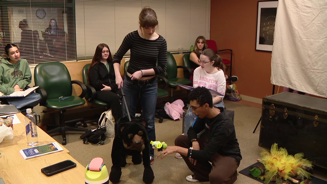 Patel Conservatory's 'To the Stars' hopes to start a love of theatre for younger kids