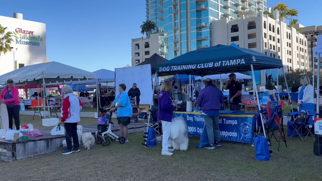 Tampa Bay's Bark in the Park event celebrates 49 years of helping animals in need