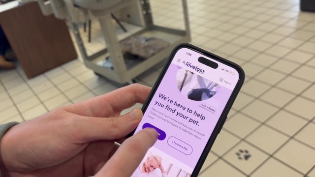 Pinellas County uses AI facial recognition to reunite lost pets with families via Petco Love Lost