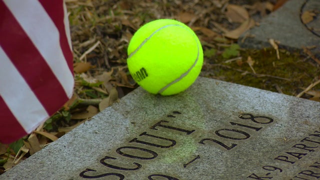 Pinellas County Sheriff’s Office honors fallen K-9 partners at memorial service