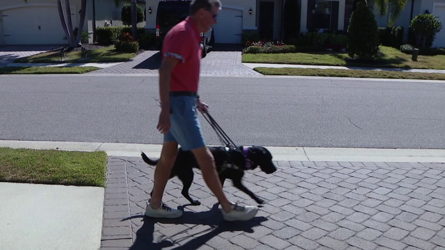 Mix of art and science matches Dogs Inc. guide dogs with their owners