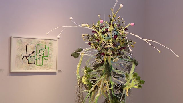 'Low Tide / High Root' exhibit highlights cultural balance for Asian Americans living in the US