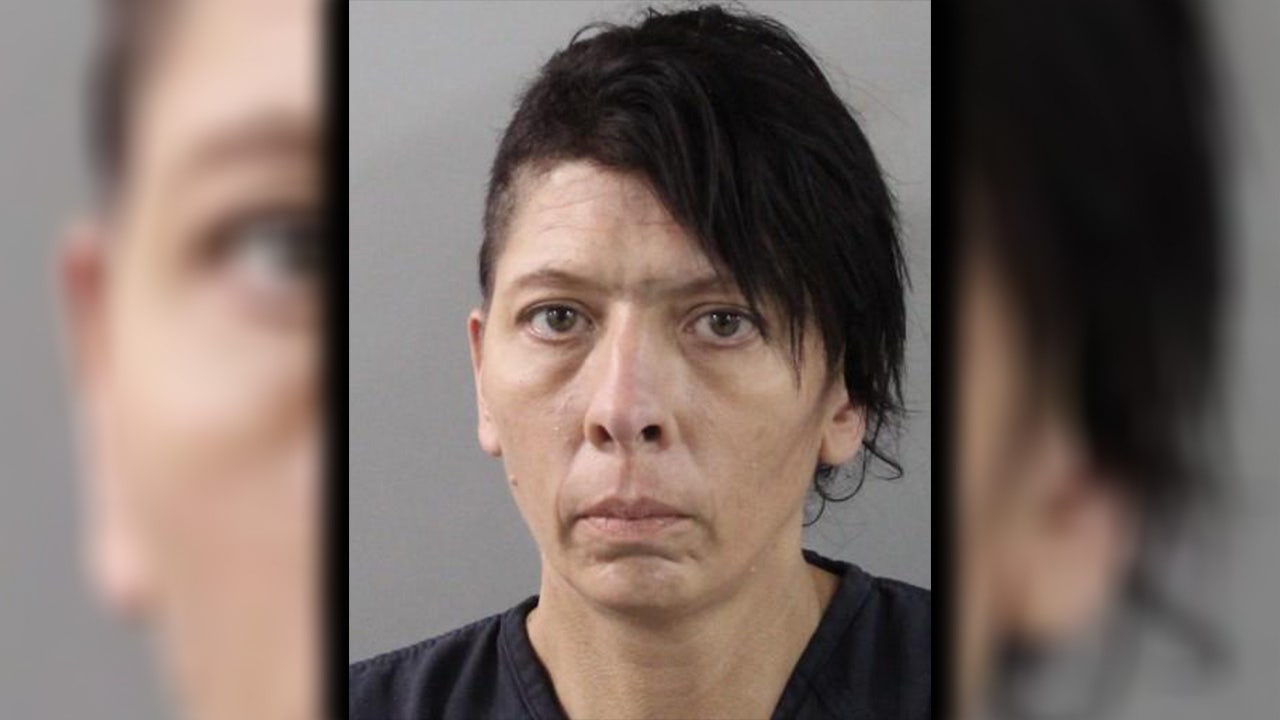 Florida woman arrested after more than 30 malnourished dogs found on Mulberry property: Investigators