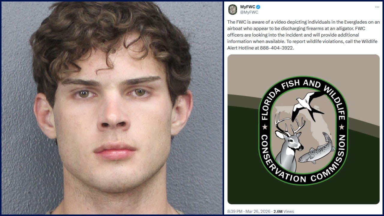FWC investigating after video shows influencer repeatedly shooting at alligator
