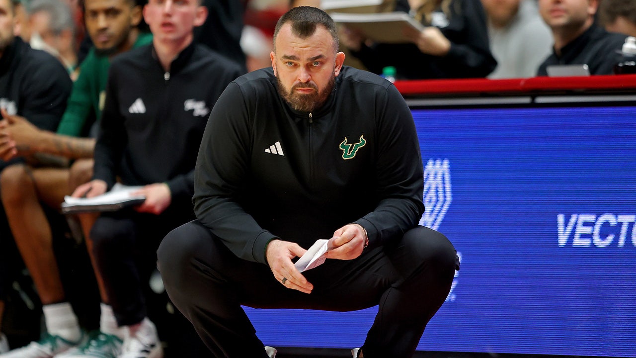 USF's Bryan Hodgson named Providence head coach