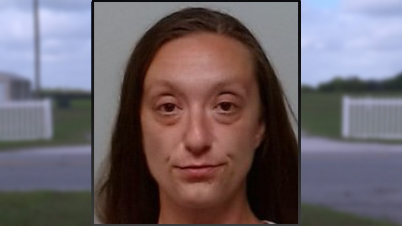 Suspected driver in custody after child killed, another critically injured in Polk County hit-and-run crash