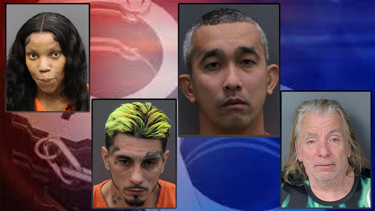 Toddler, missing teen saved in Hillsborough undercover human trafficking sting ending with 89 arrests: HCSO