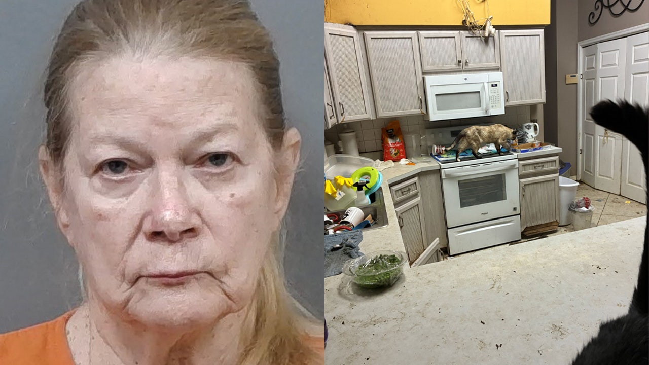 52 cats seized from Citrus County animal rescue volunteer’s home that had dead cat in bathroom: CCSO