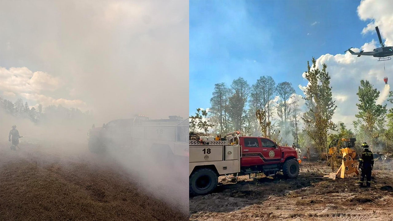 Backyard fire gets out of hand, sparks brush fire in San Antonio: Firefighters
