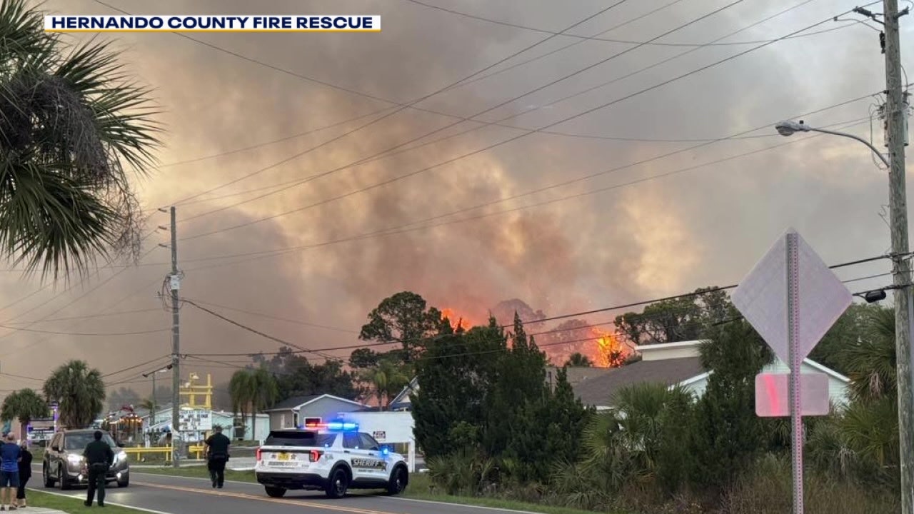 Firefighters get grasp on Hernando County fire that torched 120 acres