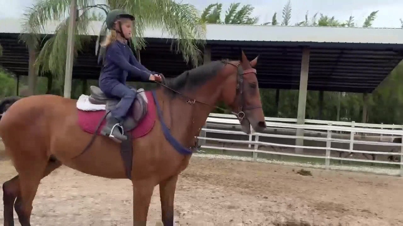 Suncoast Stable in Pasco County offering week-long summer camps