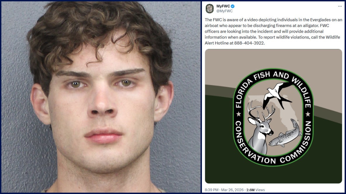 FWC investigating after video shows influencer repeatedly shooting at alligator