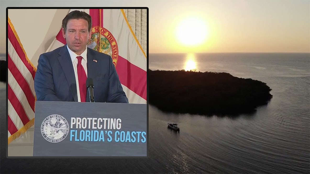 DeSantis halts Manatee County cruise terminal plans with new environmental bill