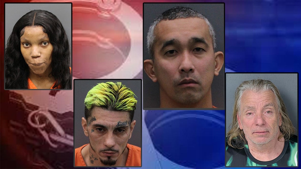 Toddler, missing teen saved in Hillsborough undercover human trafficking sting ending with 89 arrests: HCSO