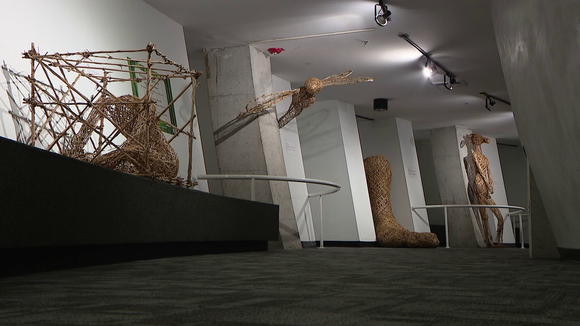 MOSI exhibition 'Dreaming in Bamboo' highlights blend of science and art
