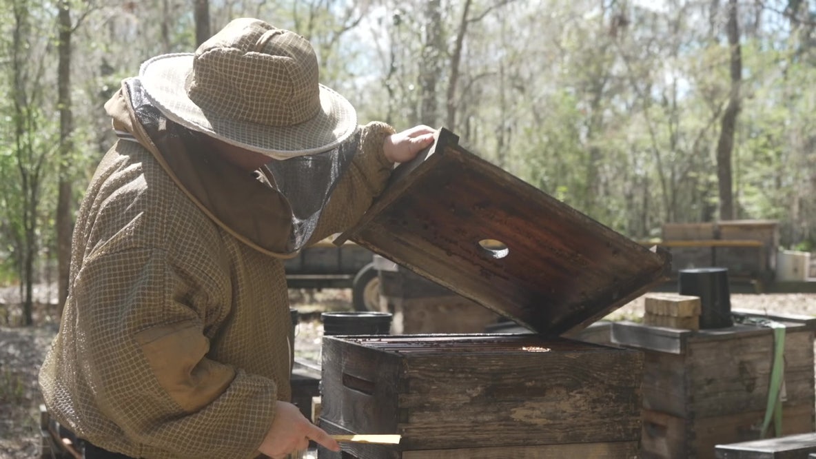 Brooksville beekeeper turns backyard hobby into buzzing honey business