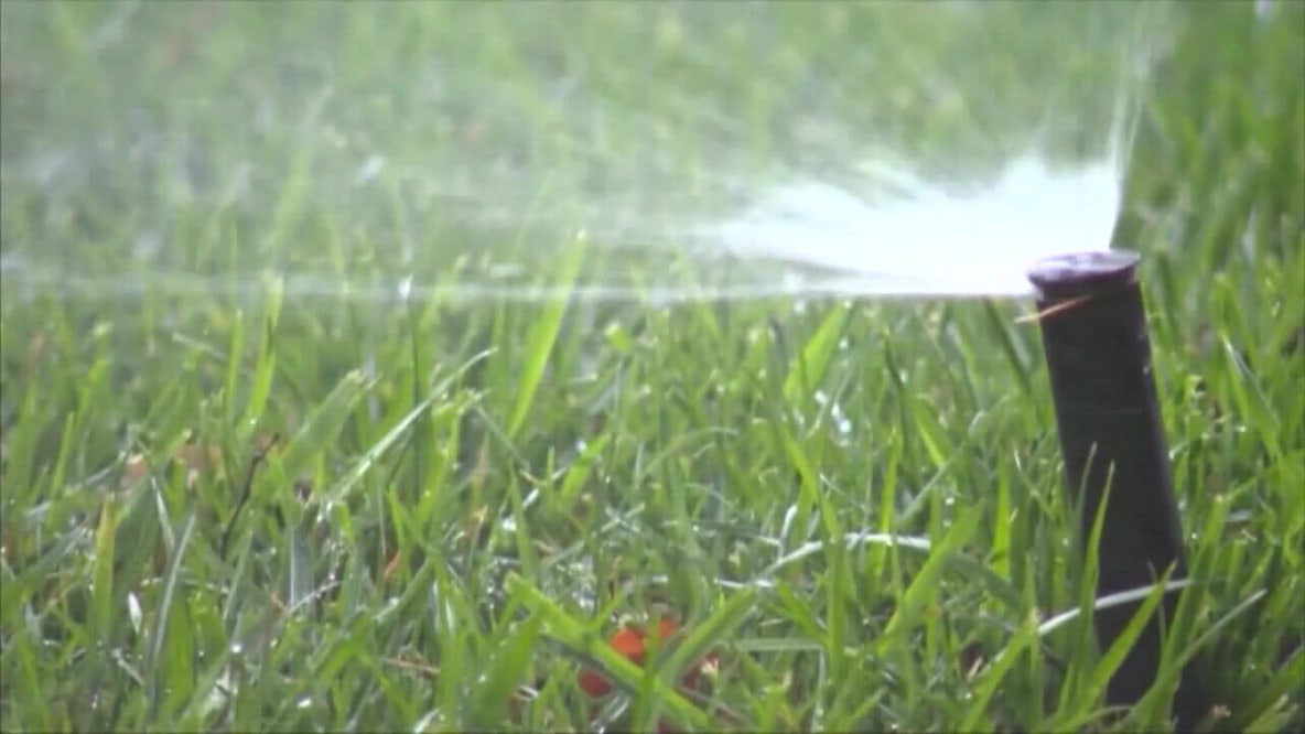 New water restrictions for Southwest Florida: What should homeowners know?