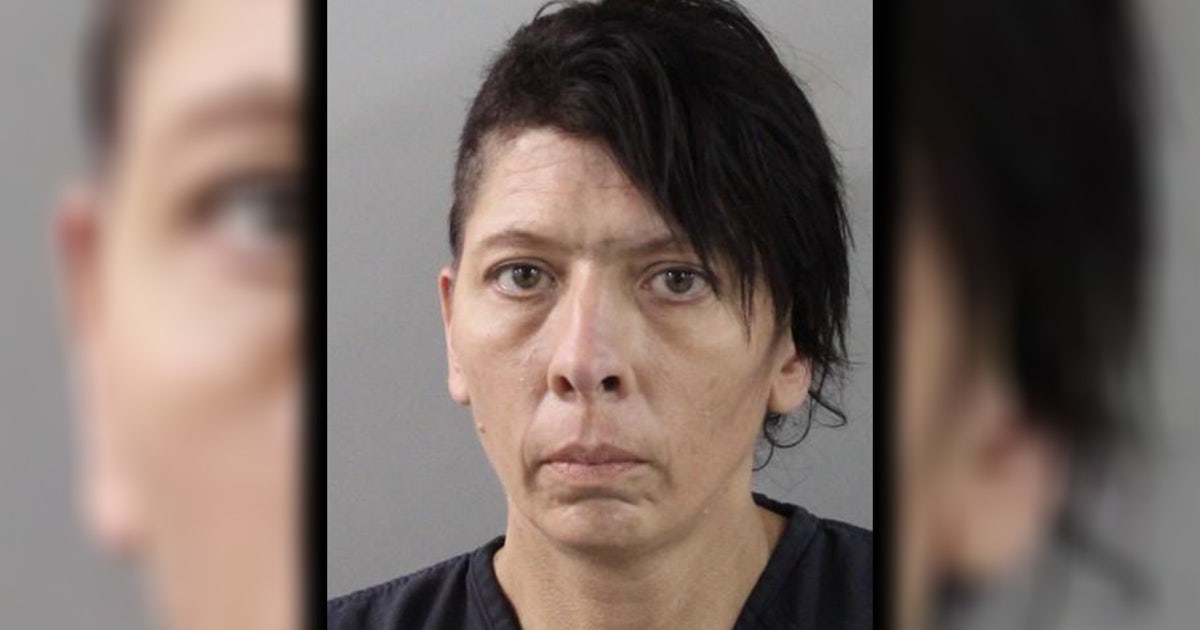 Florida woman arrested after more than 30 malnourished dogs found on Mulberry property: Investigators