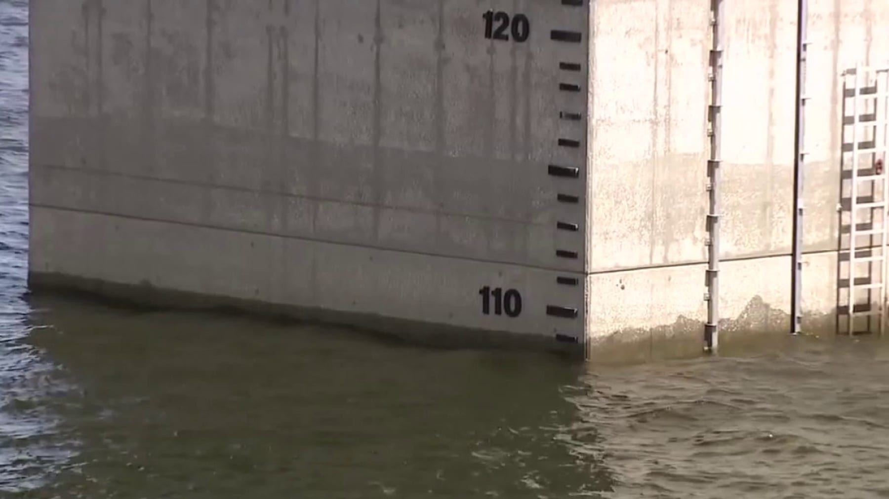 Florida's extreme drought continues: Tips on how to protect your plants