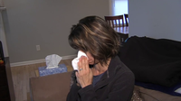 Lakeland, Sarasota, and Tampa rank in Top 30 'U.S. Allergy Capitals'