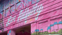 St. Petersburg showcases murals with "Paint It Pink" project, transforming aging buildings into artwork