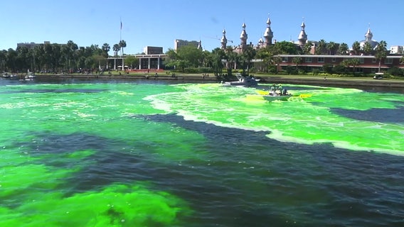 Don’t rely on luck: How to survive Tampa’s seven-event Saturday