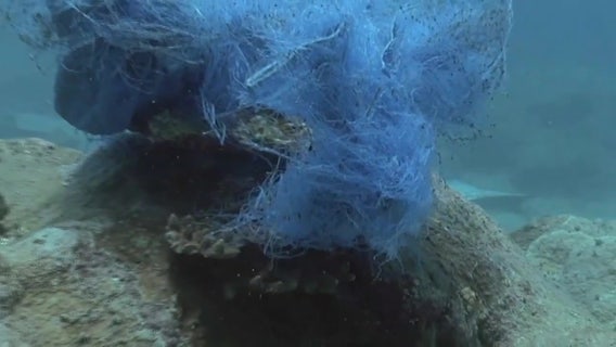 Florida Poly team develops new tech that can detect microplastics, nanoplastics in water