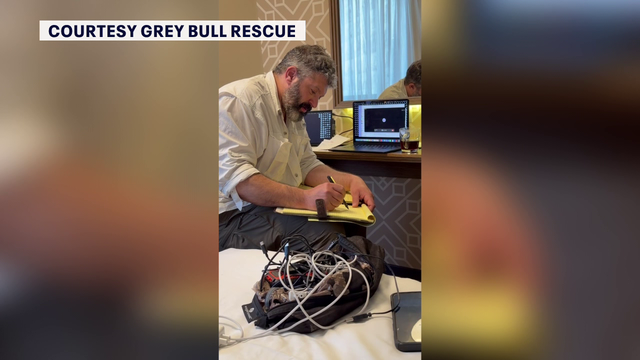 American families stranded in Israel turn to Grey Bull Rescue: 'The name of the game is speed'