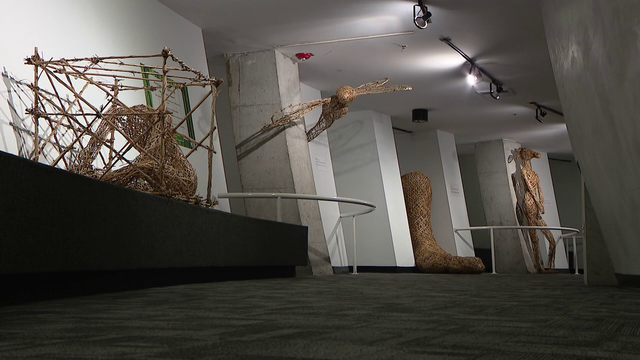 MOSI exhibition 'Dreaming in Bamboo' highlights blend of science and art