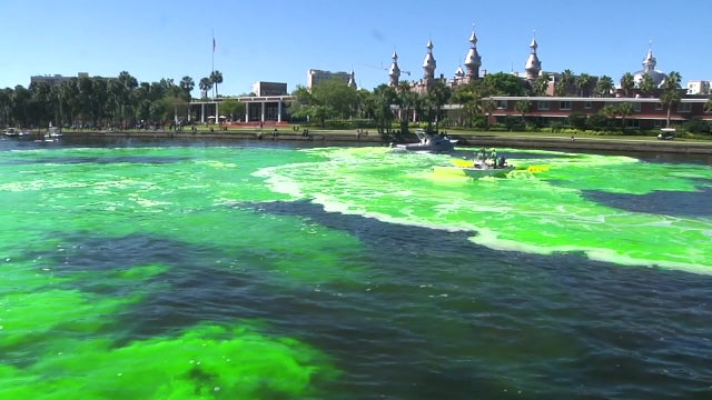 Don’t rely on luck: How to survive Tampa’s seven-event Saturday