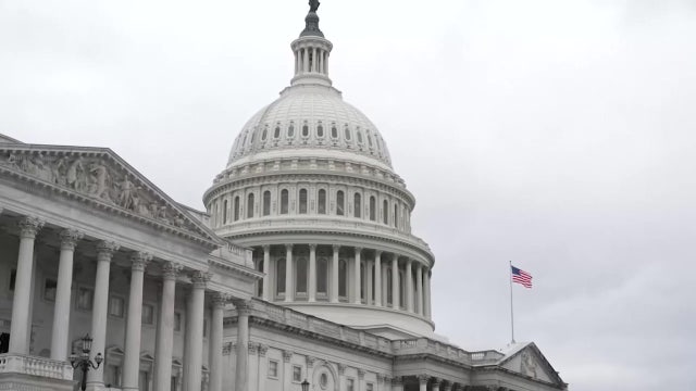 Airline CEOs urge Congress to pay TSA workers during partial government shutdown