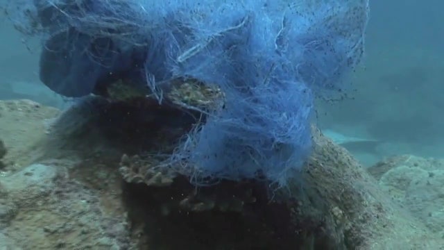 Florida Poly team develops new tech that can detect microplastics, nanoplastics in water