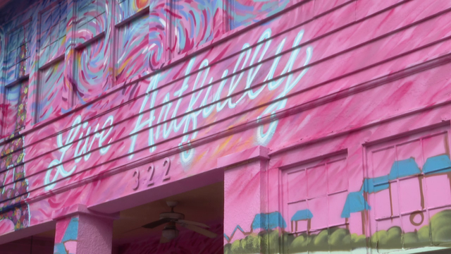 St. Petersburg showcases murals with "Paint It Pink" project, transforming aging buildings into artwork
