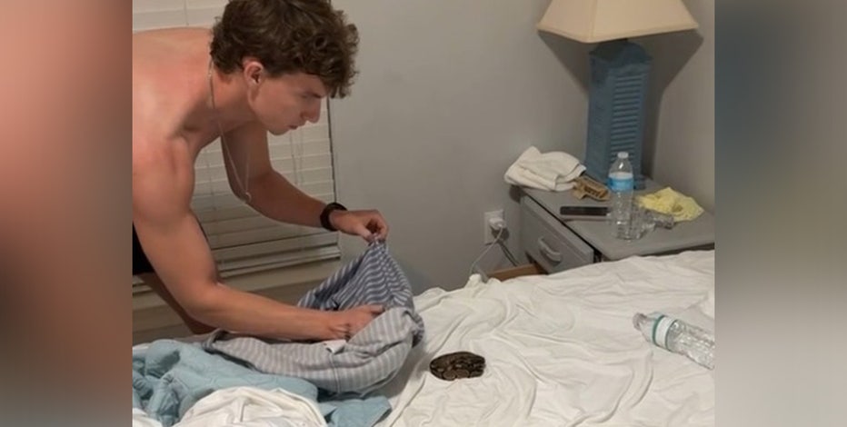 Friends horrified after finding and removing snake from Airbnb bed