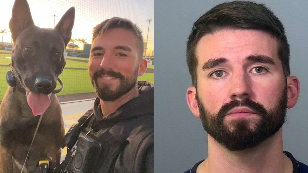 Bradenton police officer fired after being arrested on allegations of child abuse