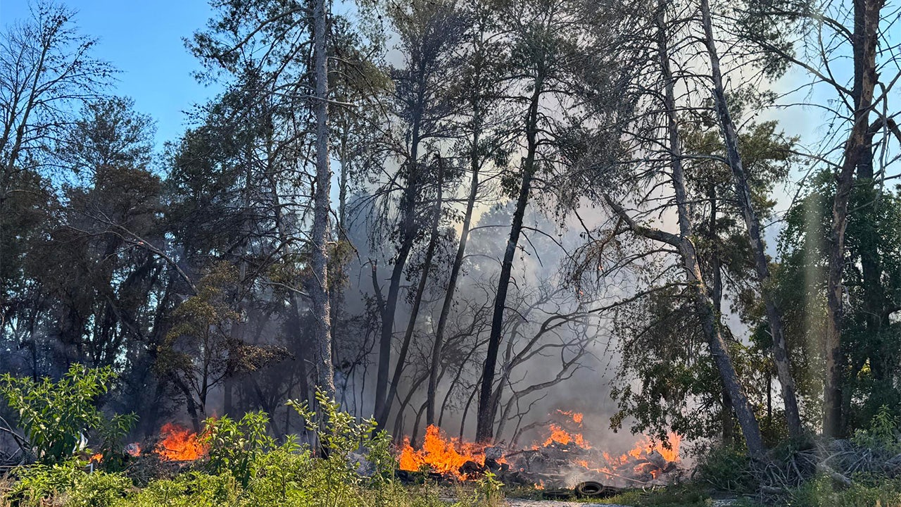 Hernando County brush fire grows as crews work to contain area