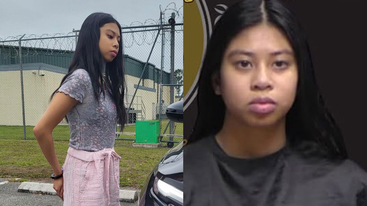 Florida woman accused of watching newborn baby drown in toilet had images of Casey Anthony on phone: Sheriff