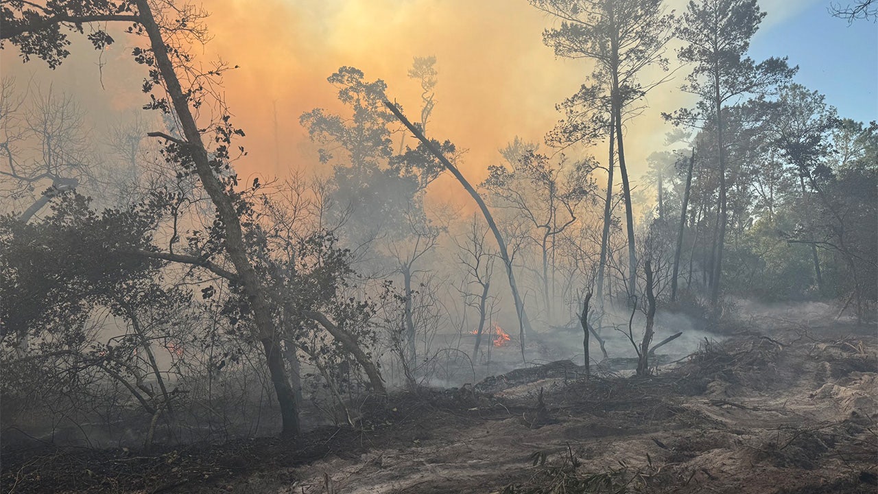 Weeki Wachee brush fire prompts multiple home evacuations: HCFR