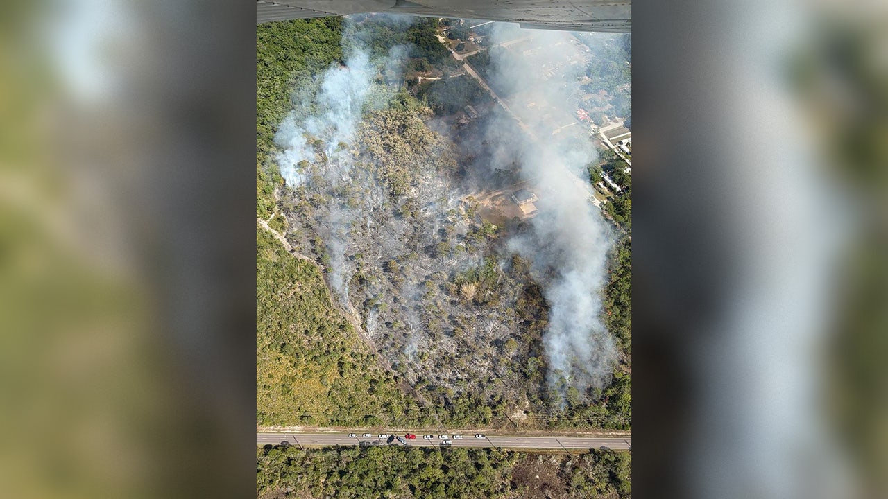 Crews battle wildfire in Hudson near Dixie Highway