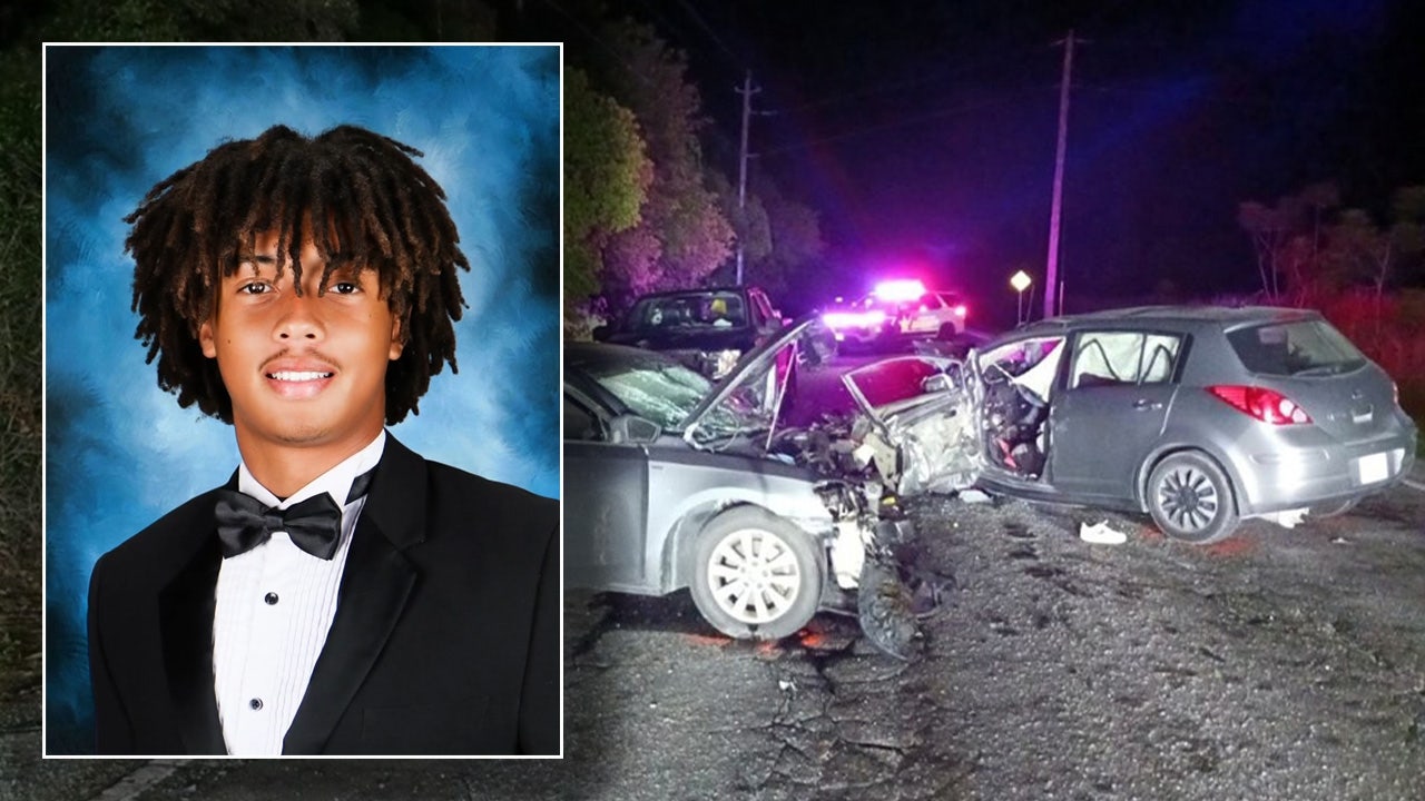 Armwood High School mourns student-athlete killed in hit-and-run crash: 'An amazing young man'