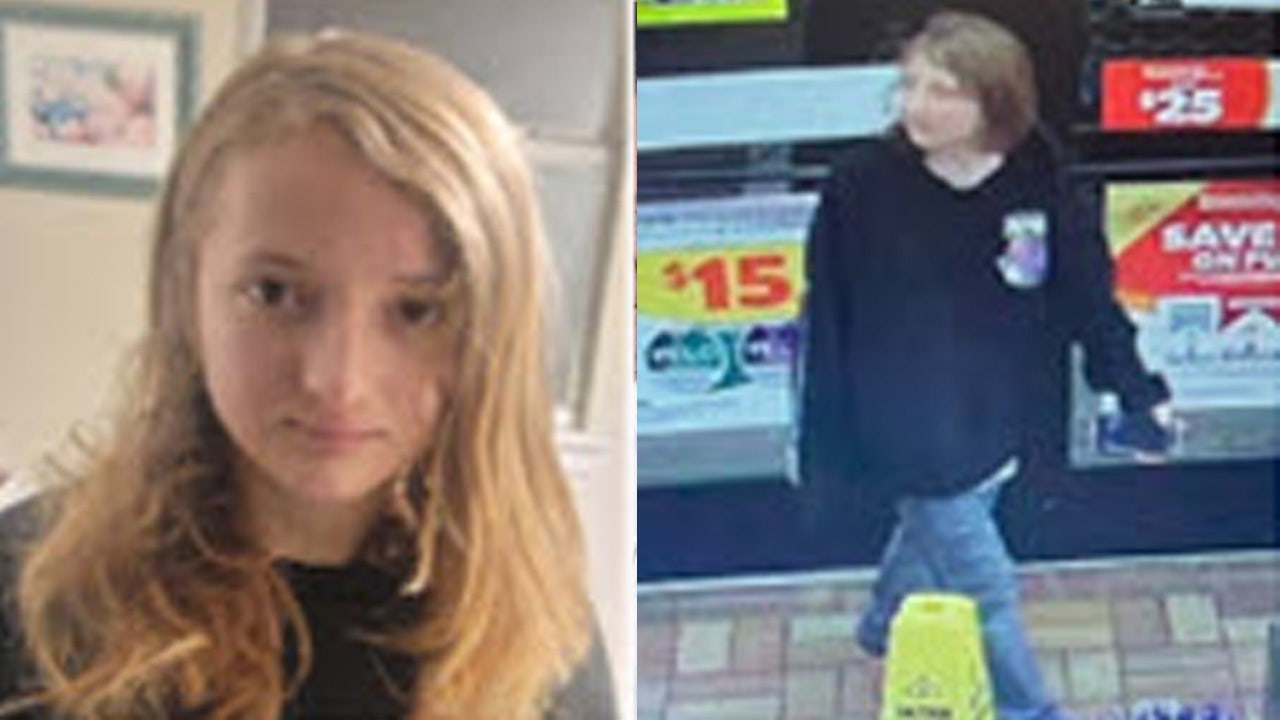 Missing Florida teen who’s attracted to train tracks and wooded areas sparks statewide alert