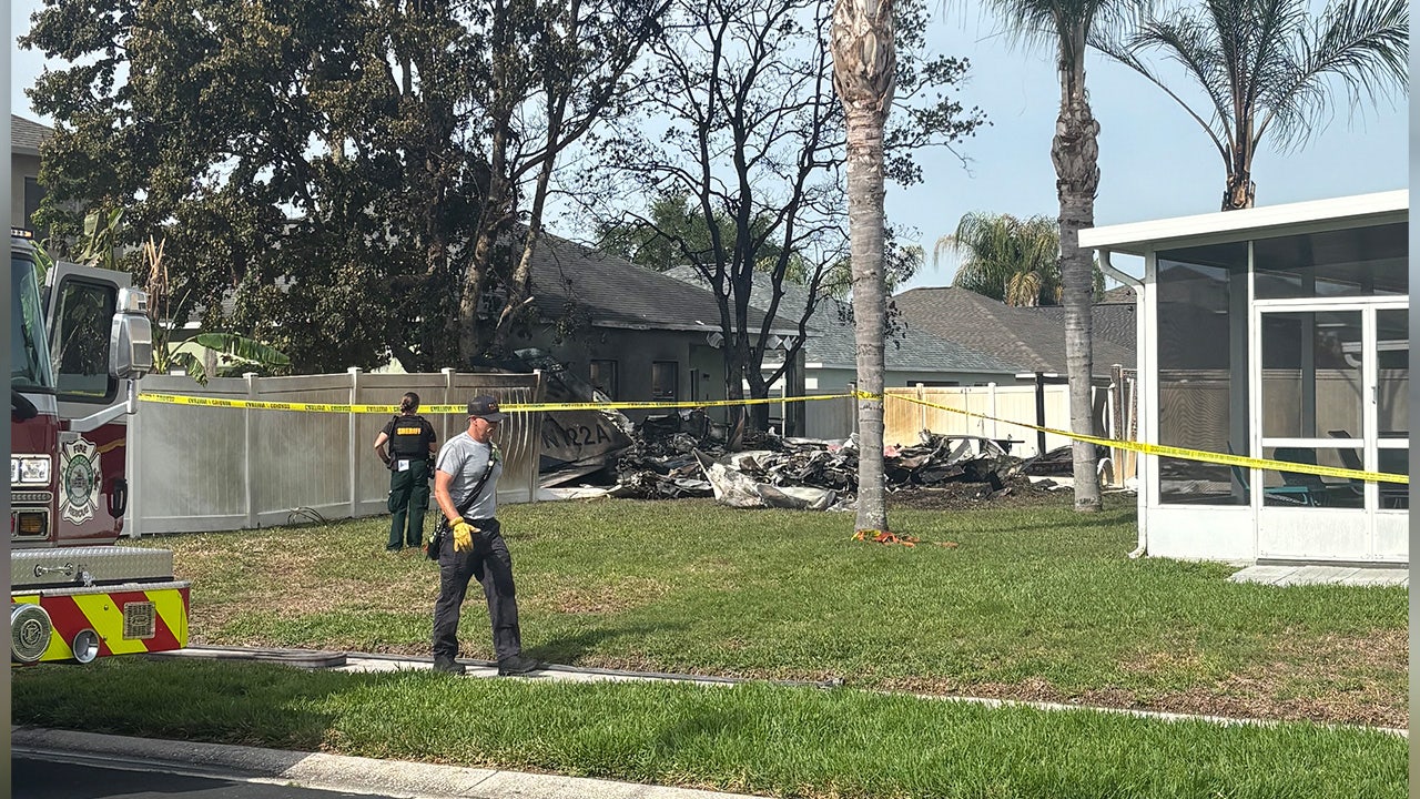 Plane crashes in Wesley Chapel, kills one: PCFR