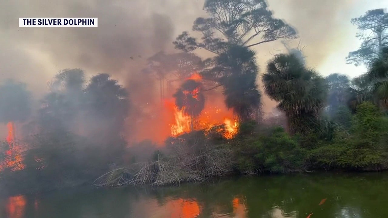 Drought, freeze create ‘perfect recipe’ for Florida wildfires: Here's what to know