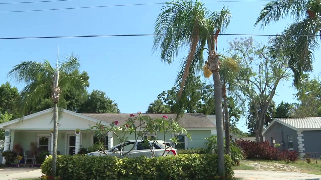 South Tampa couple fights to save beloved palm trees from TECO removal