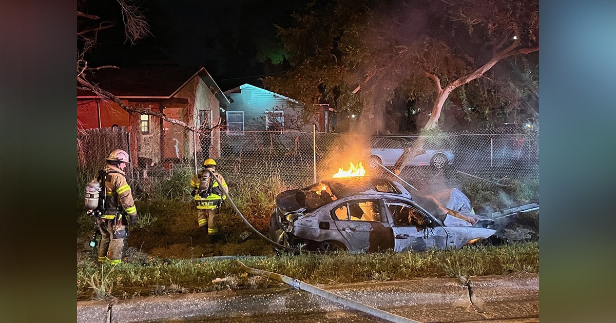 Car catches fire after crashing in ditch on Sligh Avenue: FHP | FOX 13 ...