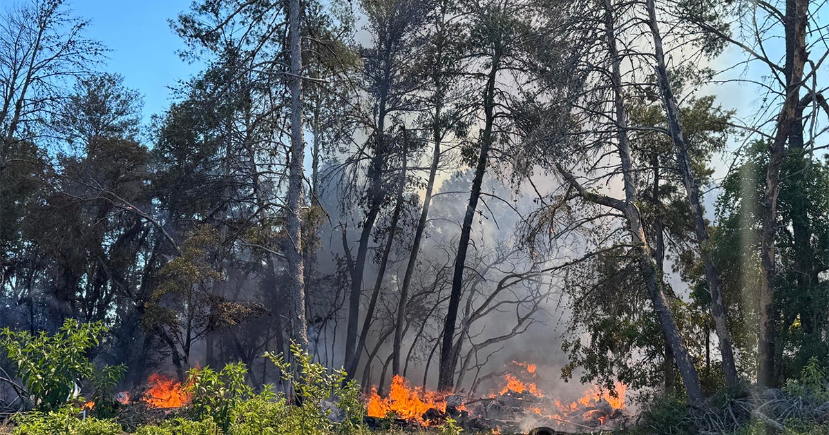 Hernando County brush fire grows as crews work to contain area | FOX 13 ...